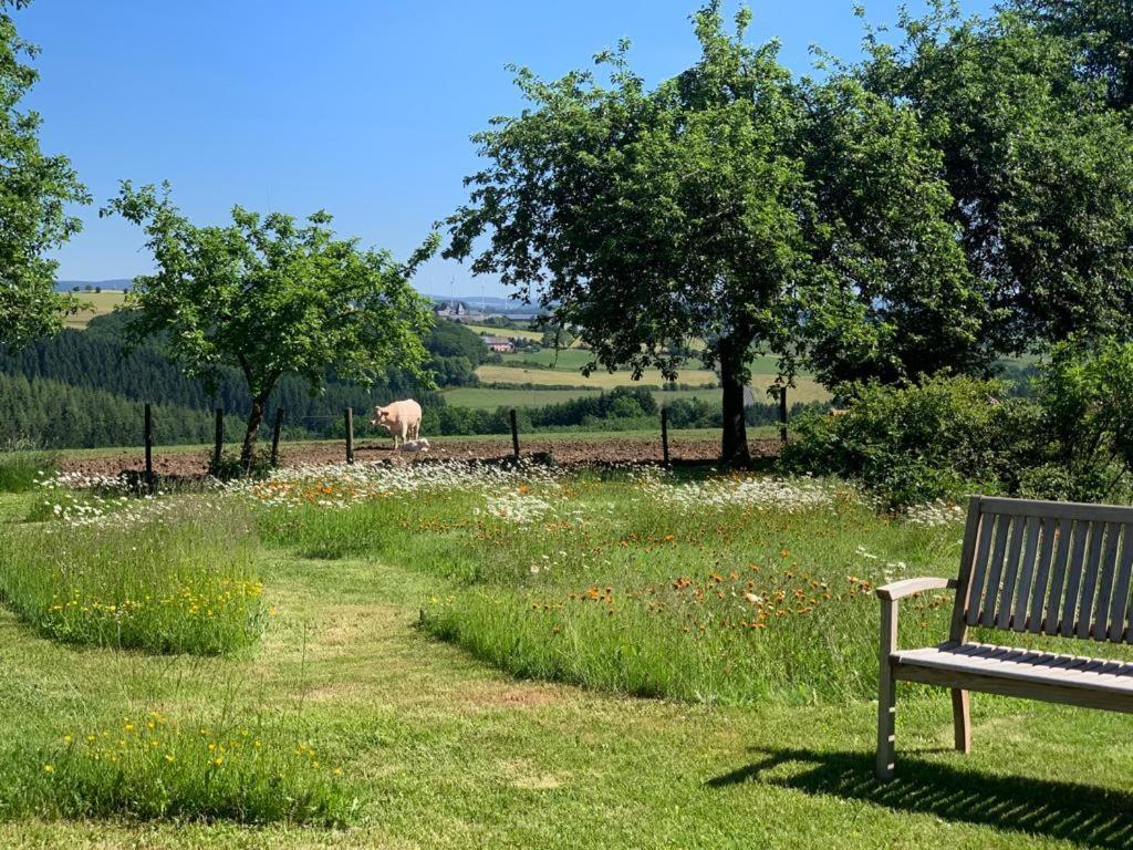 Apartament Urlaub Mit Hund Auf Dem Bauernhof Hofswald Euscheid Zewnętrze zdjęcie