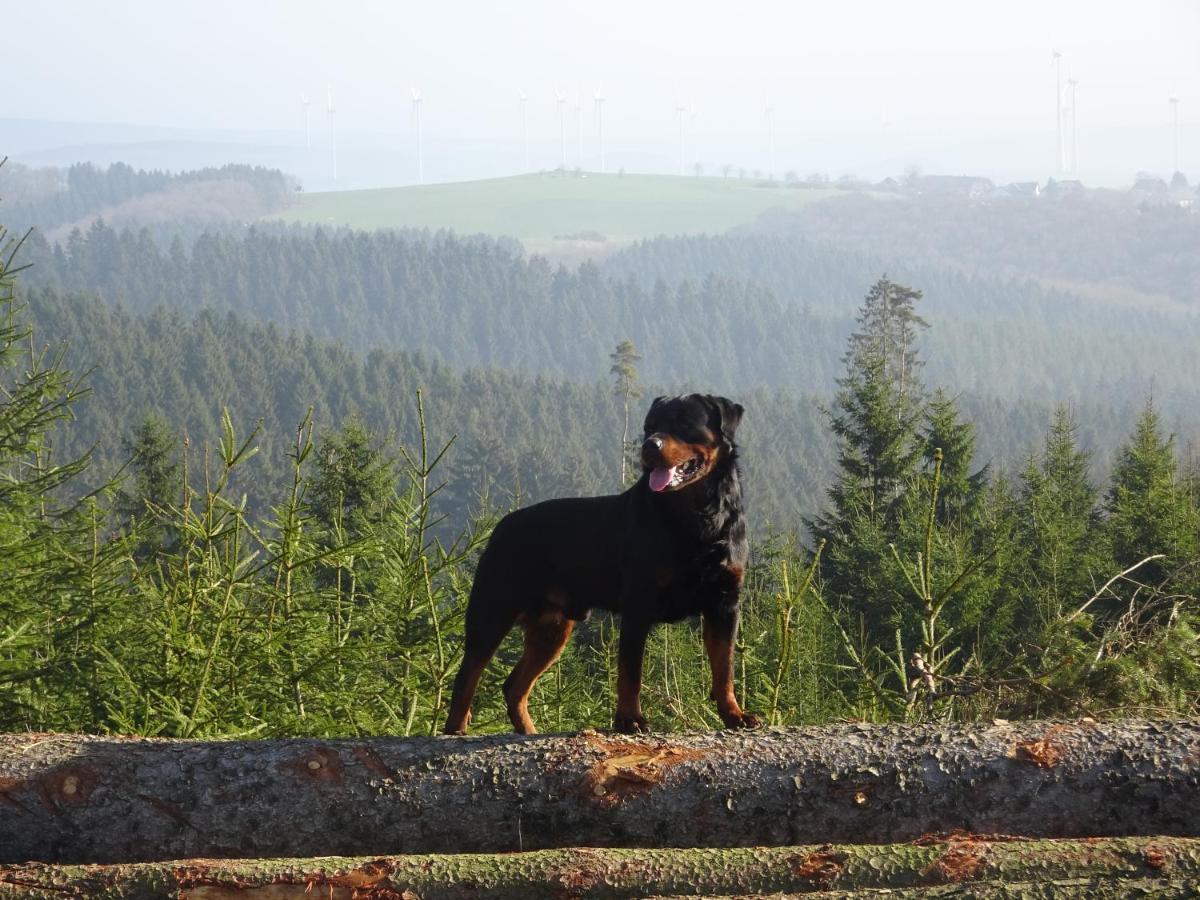 Apartament Urlaub Mit Hund Auf Dem Bauernhof Hofswald Euscheid Zewnętrze zdjęcie