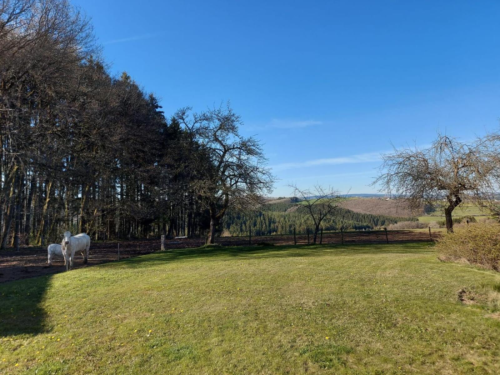 Apartament Urlaub Mit Hund Auf Dem Bauernhof Hofswald Euscheid Zewnętrze zdjęcie