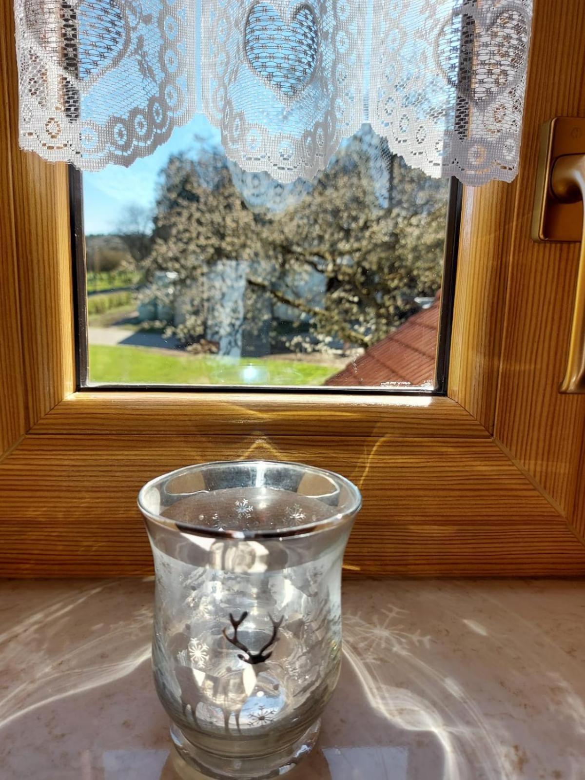 Apartament Urlaub Mit Hund Auf Dem Bauernhof Hofswald Euscheid Zewnętrze zdjęcie